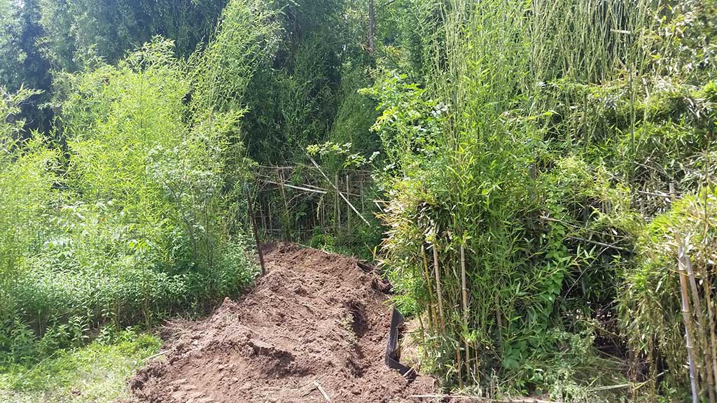 bamboo containment pa 2