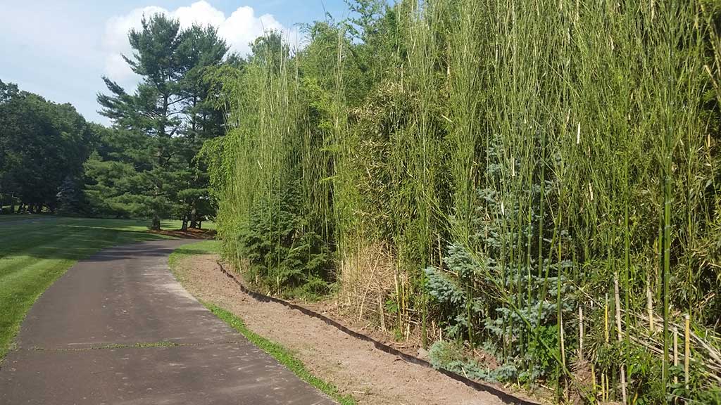 bamboo containment pa 3