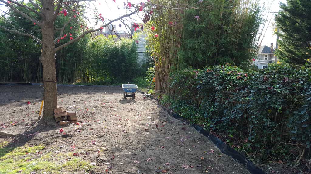 bamboo ordinance control containment