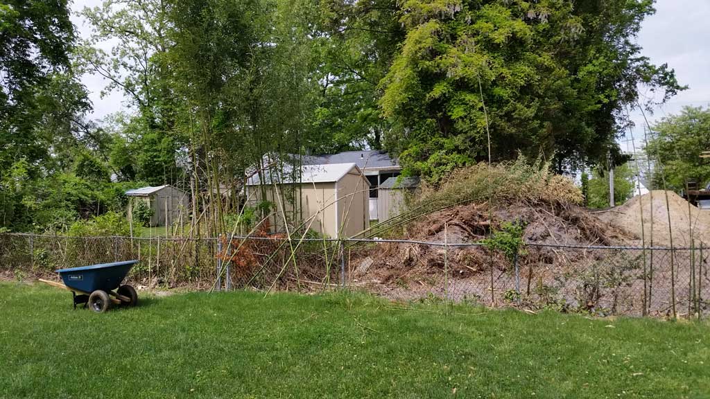 bamboo containment ordinance