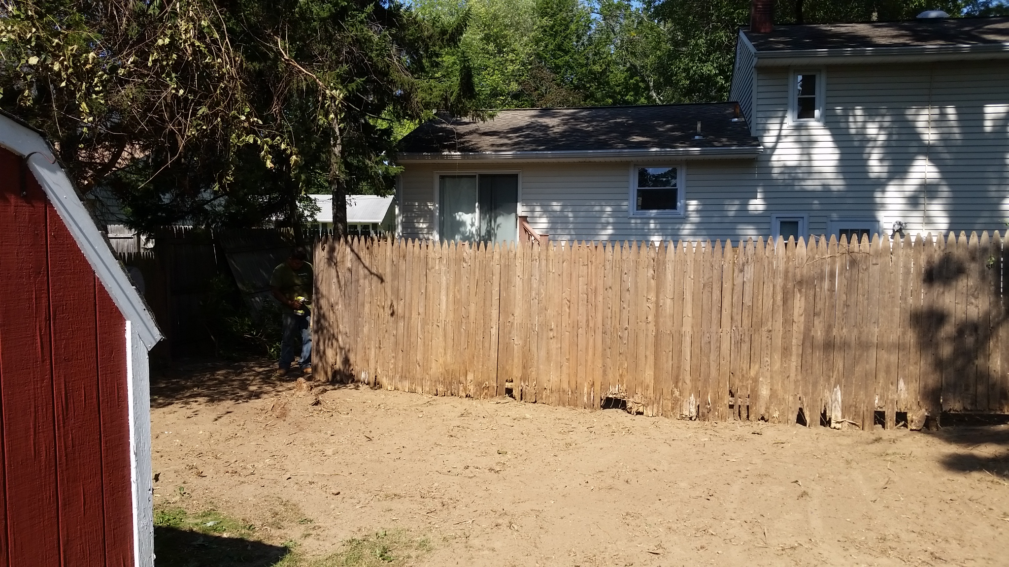 bamboo control removal Gloucester Township New Jersey