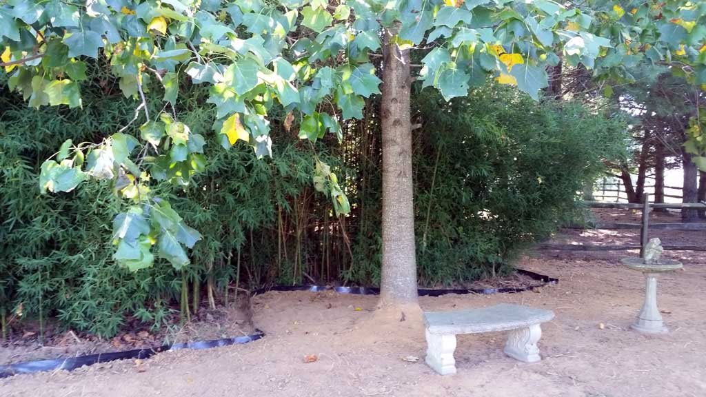 bamboo control containment Delaware