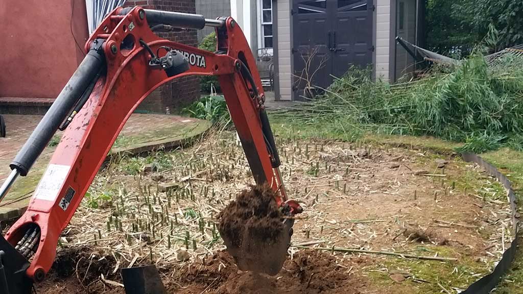 bamboo ordinance Howell Township NJ