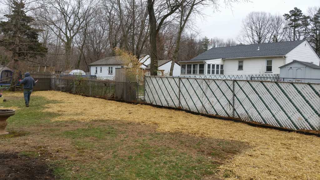 bamboo containment ordinance