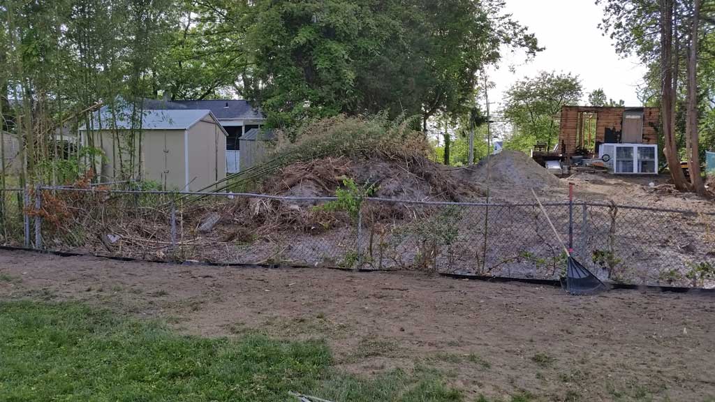 bamboo ordinance Ocean City NJ