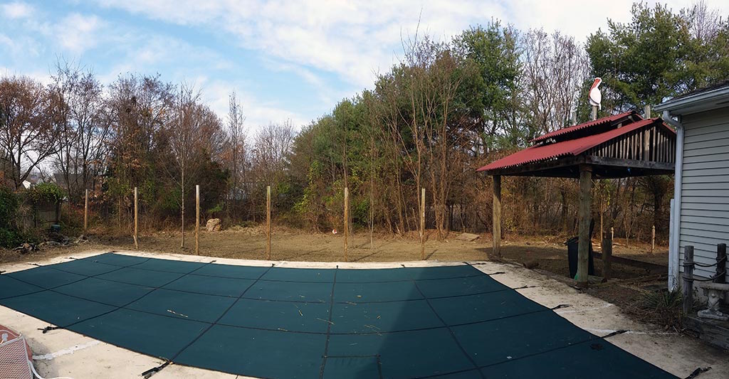 bamboo removal after hamilton township nj