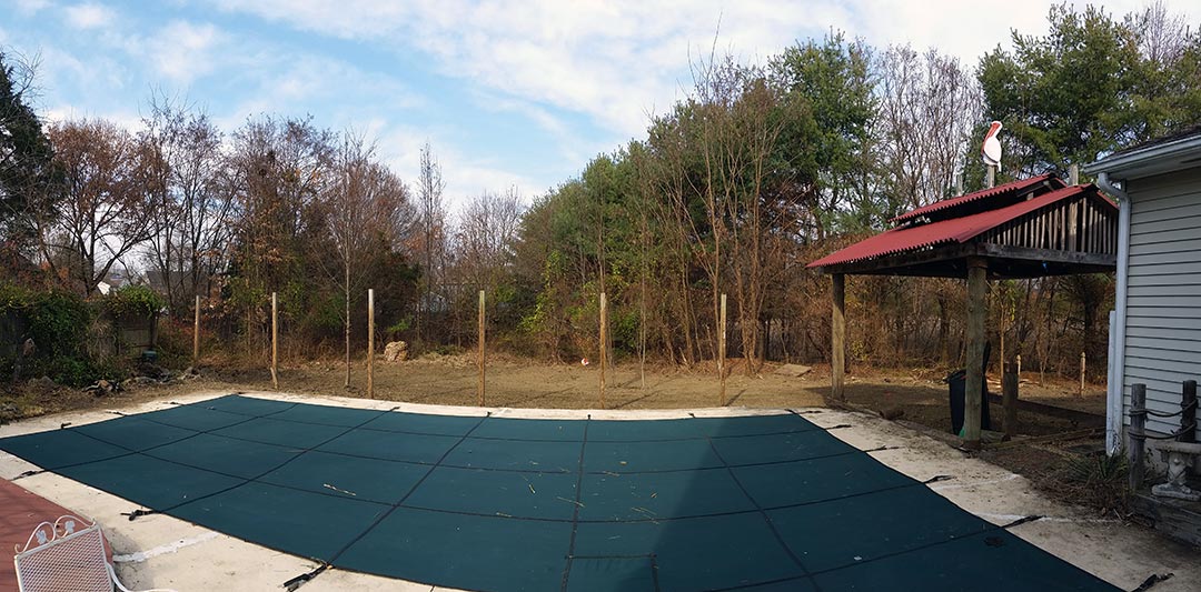 bamboo removal service Pennsylvania after