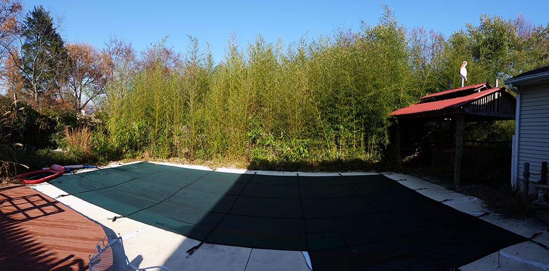 bamboo removal service pennsylvania