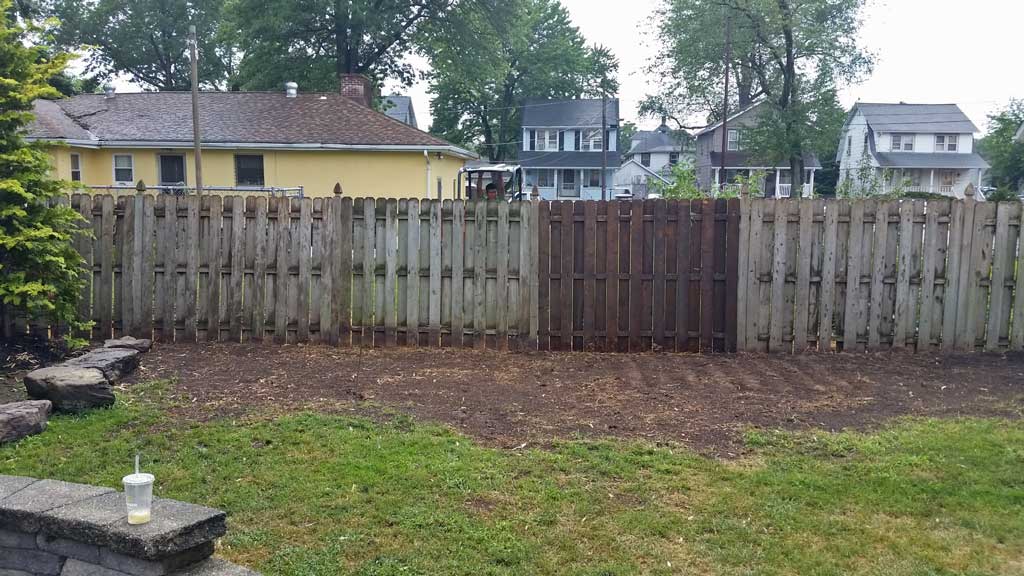 bamboo removal ordinance compliant