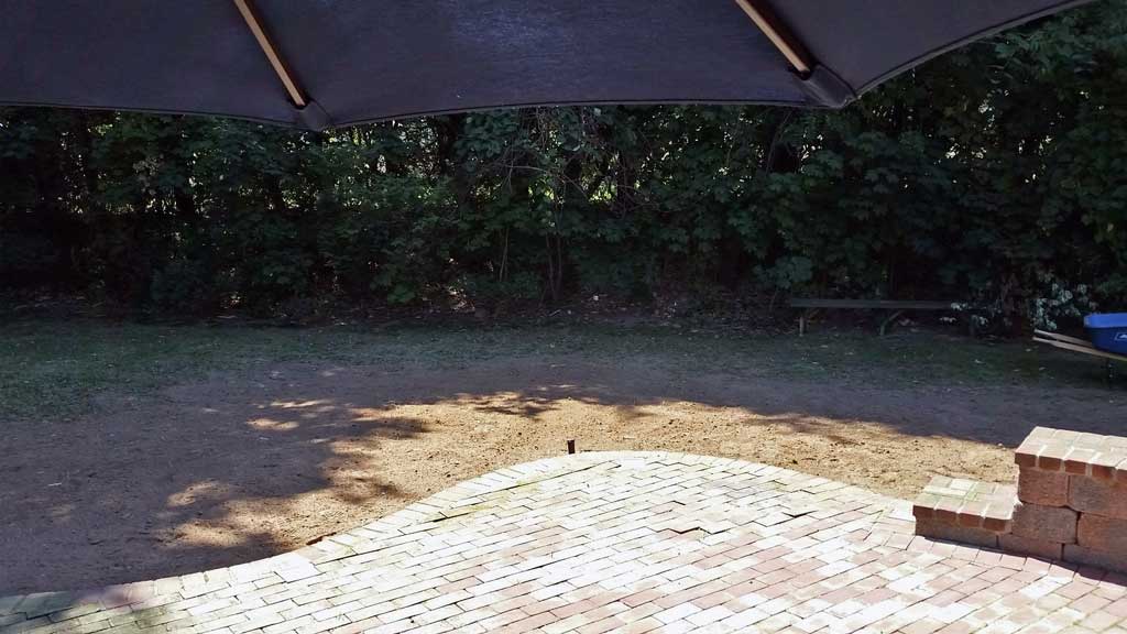 bamboo removal containment Howell Township NJ