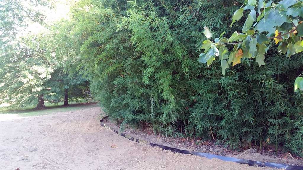 bamboo ordinance control Delaware