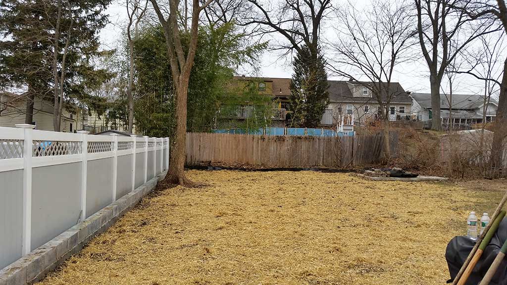 bamboo ordinance removal douglass township pa