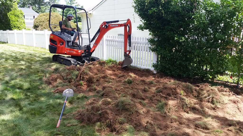 excavating bamboo roots