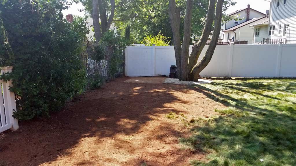 bamboo ordinance compliant removal