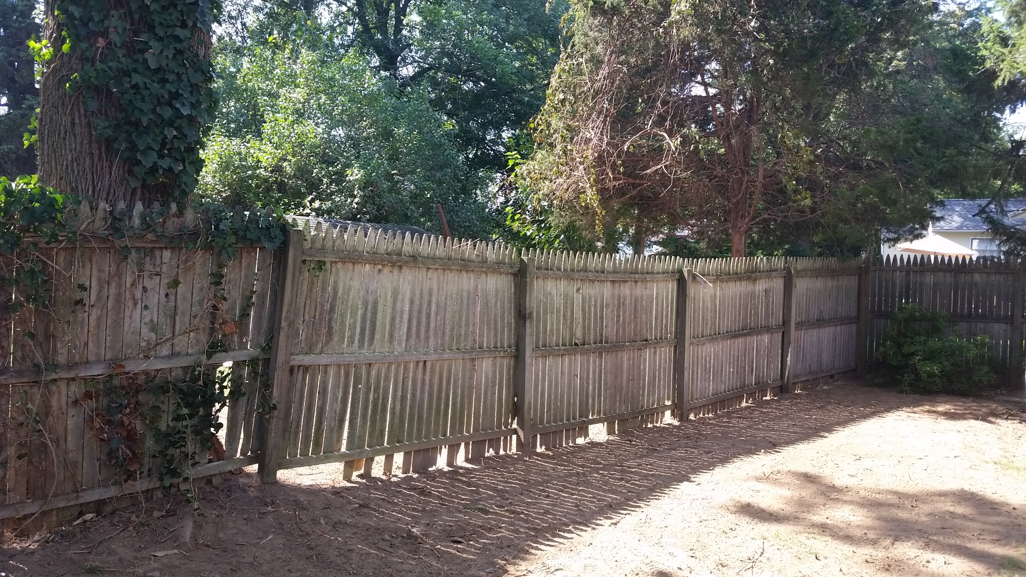 guaranteed bamboo removal