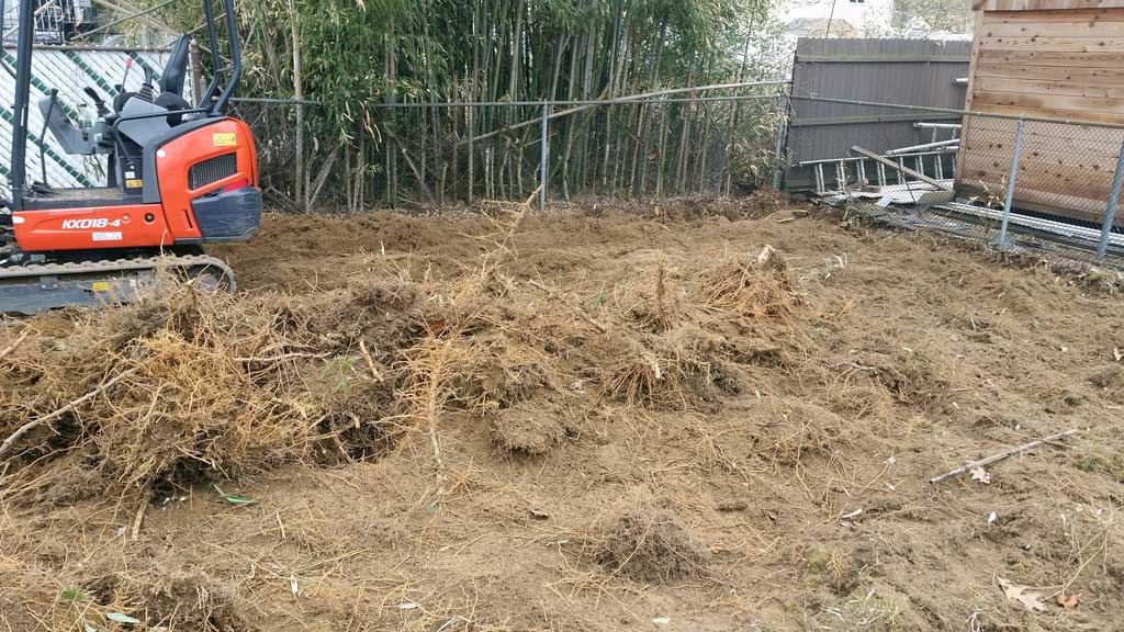 bamboo removal Oaklyn Boro NJ