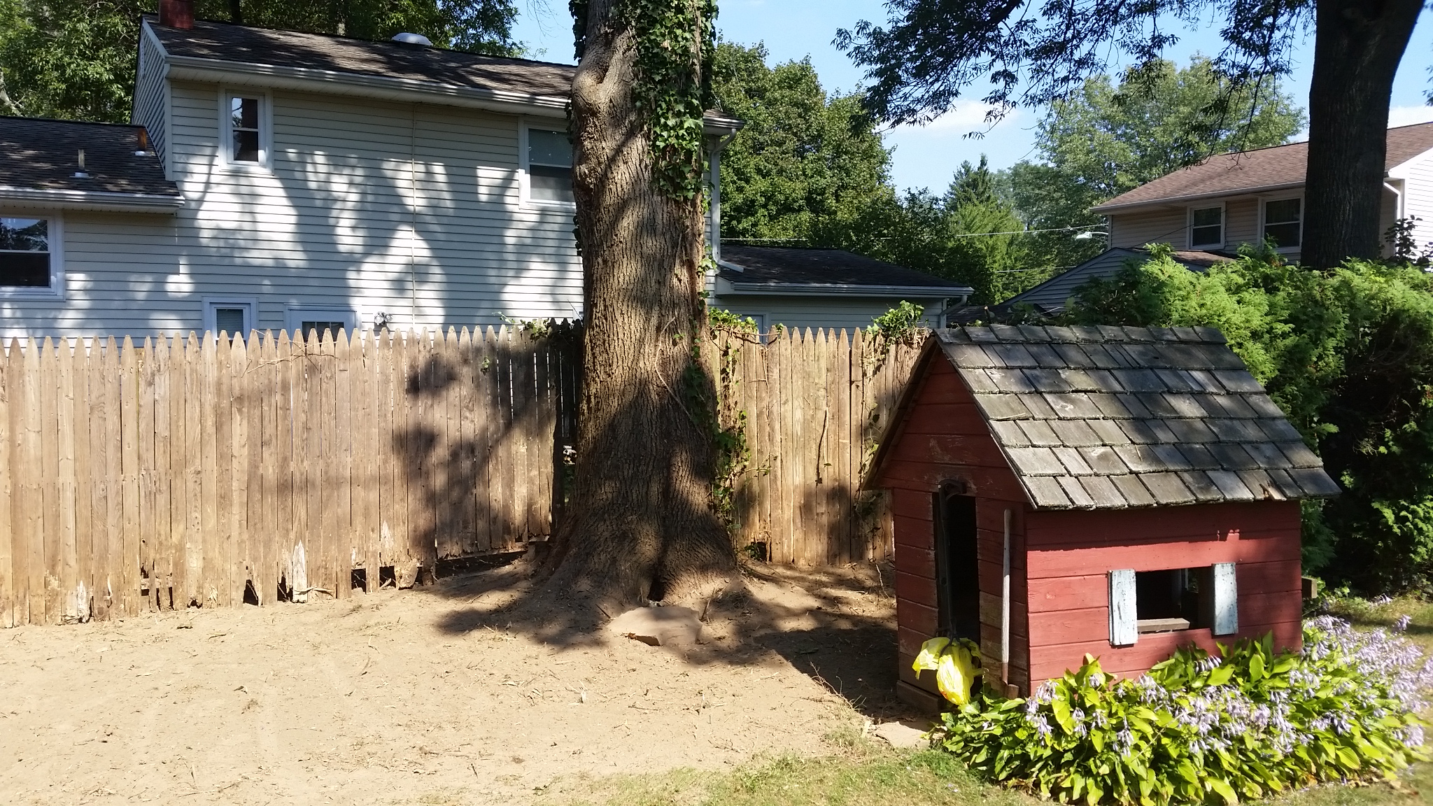 bamboo removal ordinance