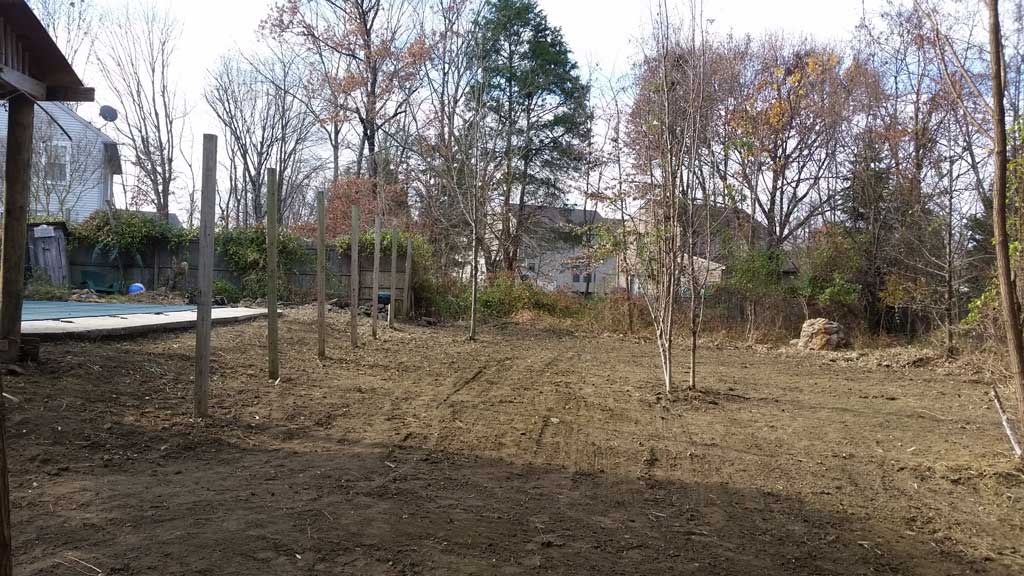 bamboo removal ordinance NJ 12