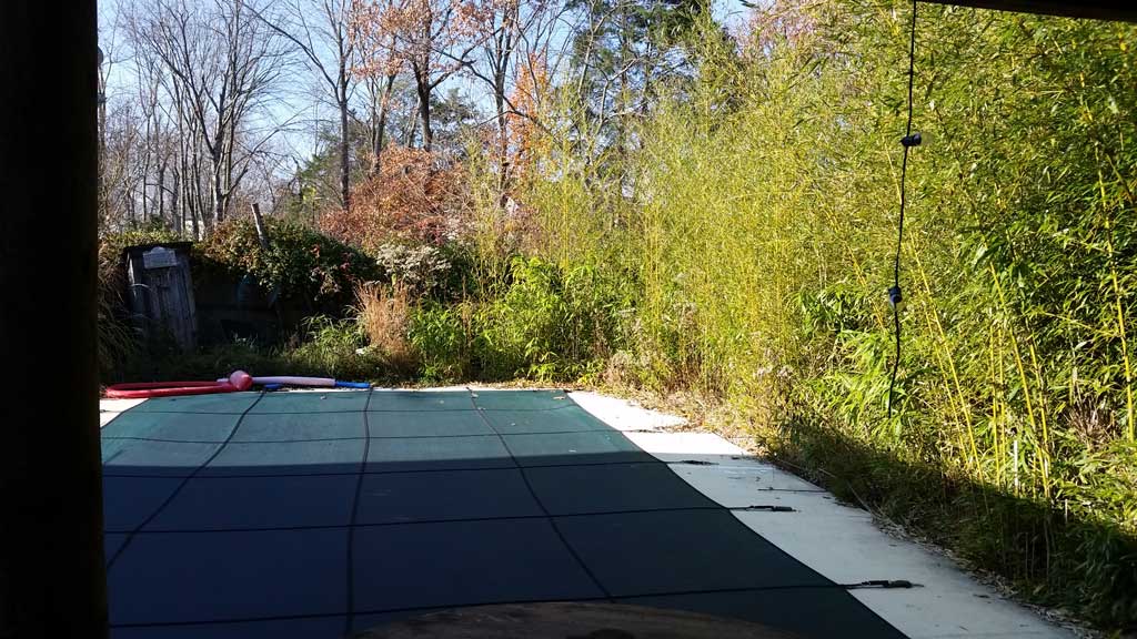 bamboo removal ordinance NJ 2