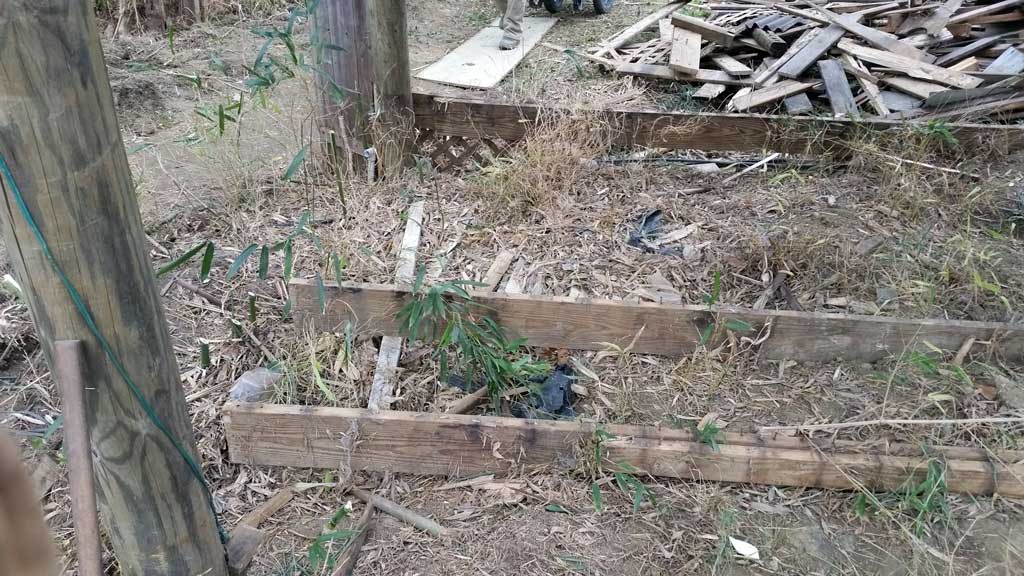 bamboo removal ordinance NJ 7