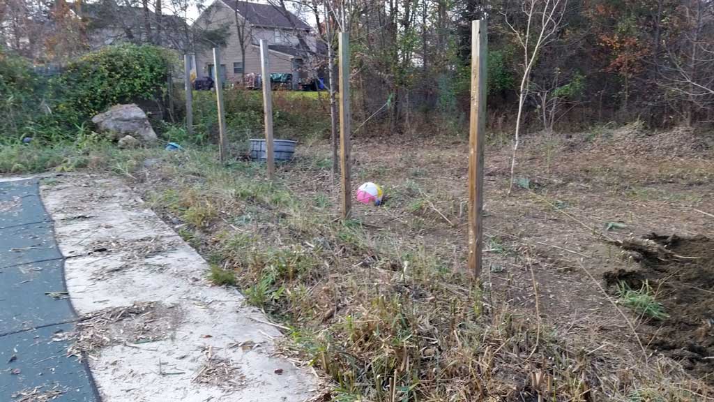 bamboo removal ordinance NJ 8