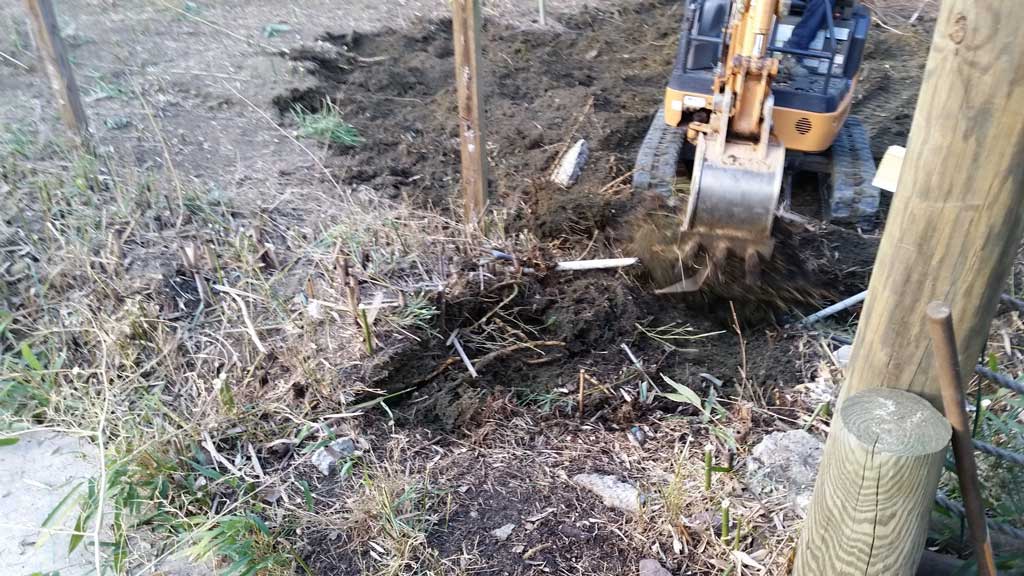 bamboo removal ordinance NJ 9