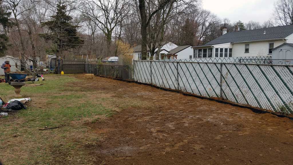 bamboo removal ordinance Oaklyn Boro NJ