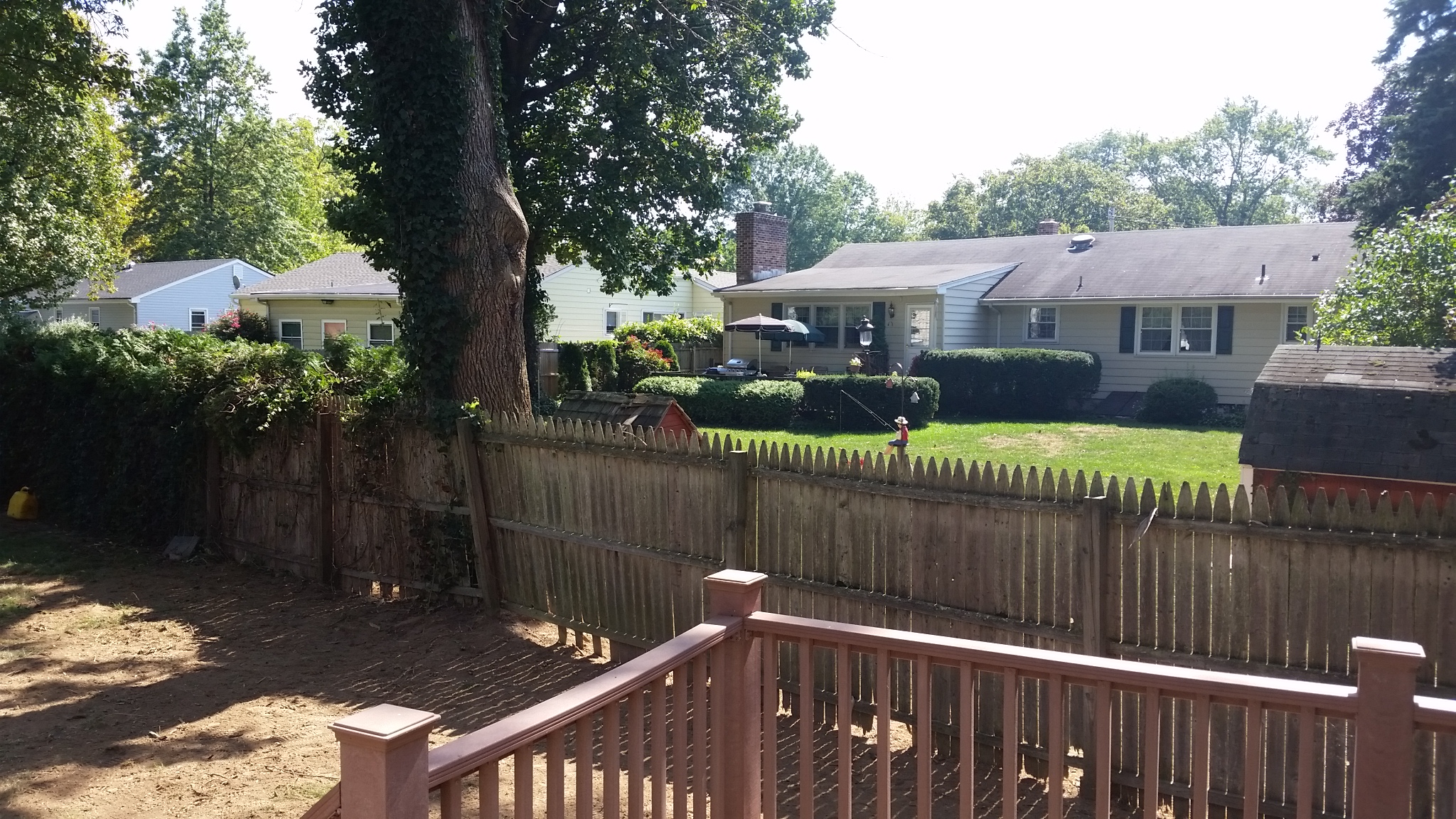 bamboo removal service