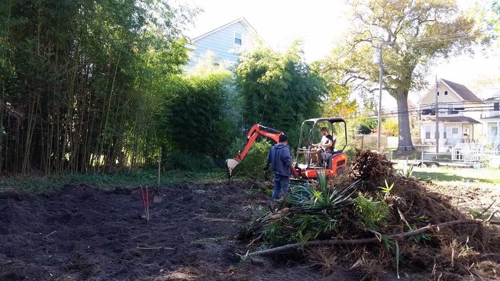 bamboo ordinance removal Toms River NJ 5