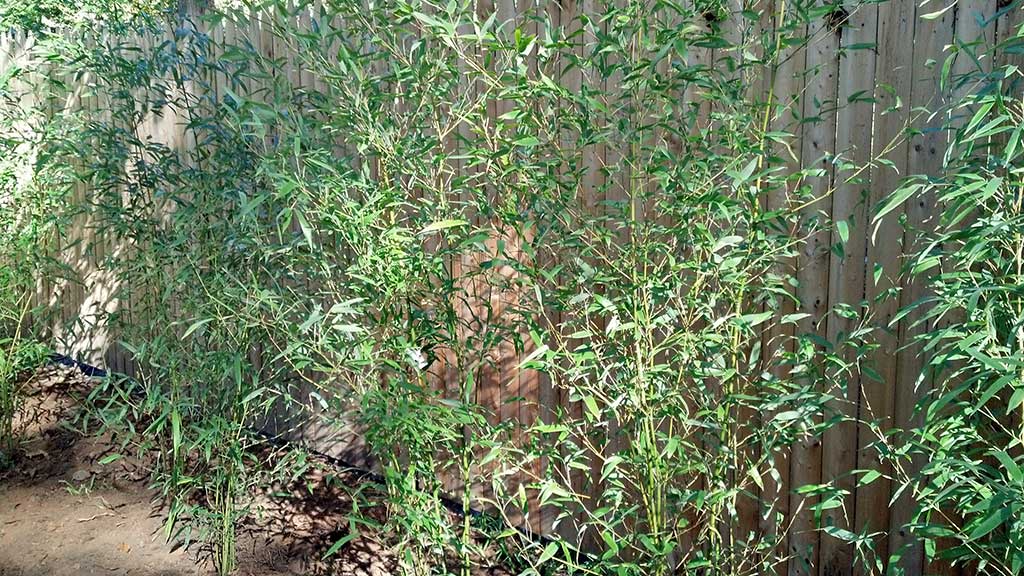 Far Hills NJ privacy fence installation