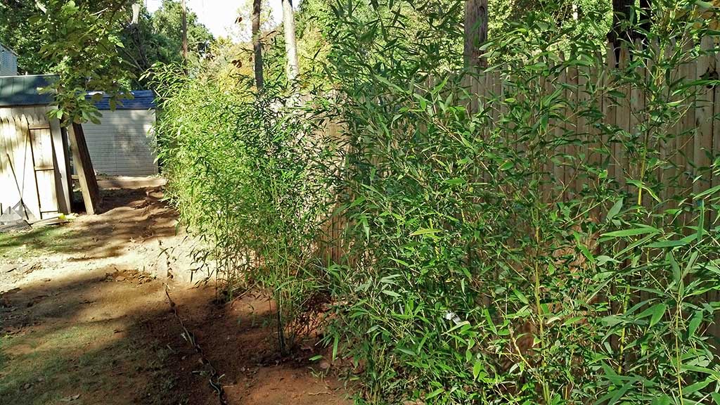  Far Hills NJ privacy fence service