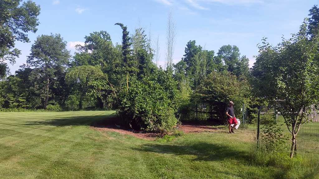 bamboo containment pa 9