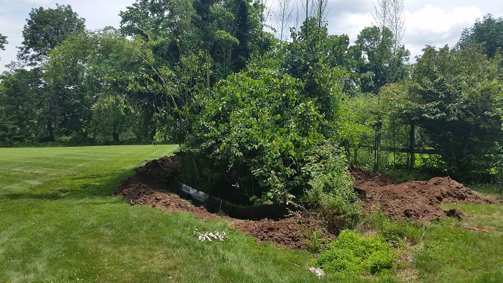 bamboo containment pa 8