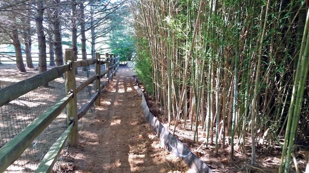 Bamboo Containment Dover DE