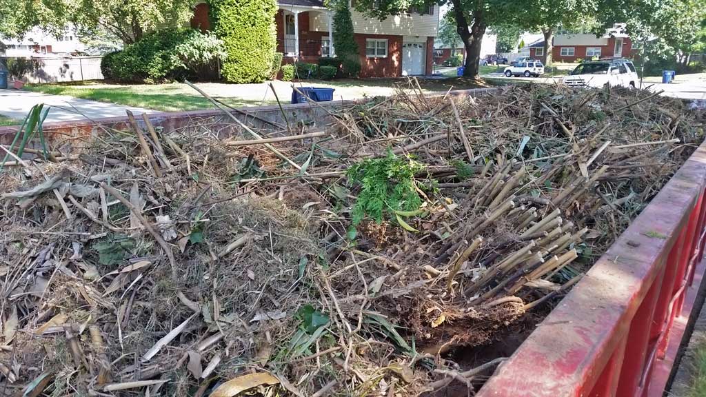 bamboo ordinance removal Gloucester Township New Jersey