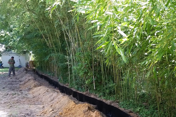 bamboo containment service